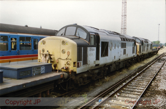 37604 2001